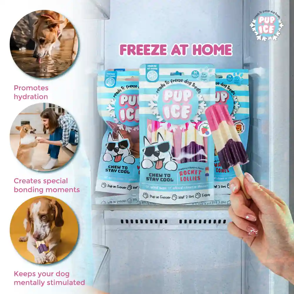 Pup Ice Strawberry and Blueberry Flavoured Rocket Lollies Dog Treat - Image 5
