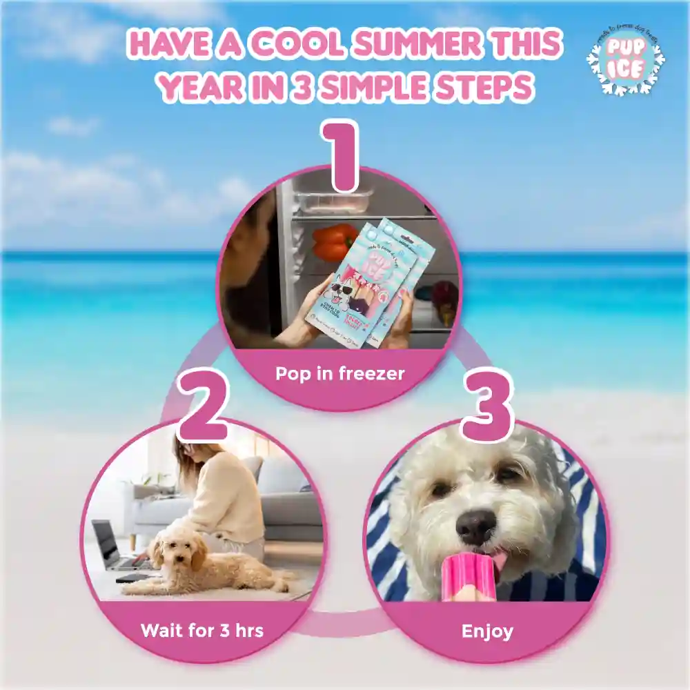 Pup Ice Strawberry and Blueberry Flavoured Rocket Lollies Dog Treat - Image 6