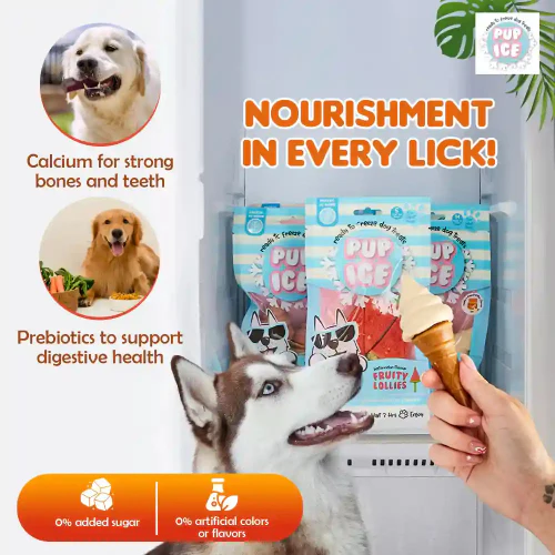 Pup Ice Vanilla and Peanut Butter Flavoured Waffle Cones Dog Treat - Image 3