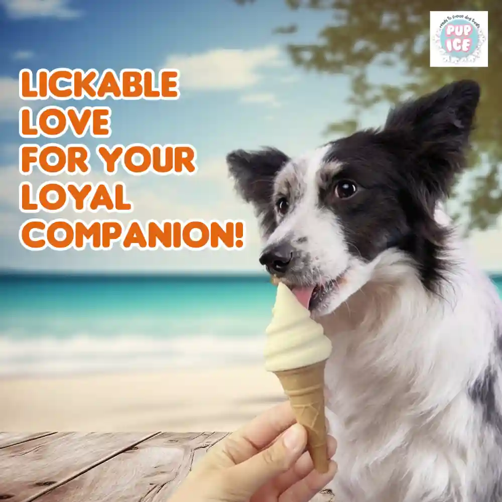 Pup Ice Vanilla and Peanut Butter Flavoured Waffle Cones Dog Treat - Image 6