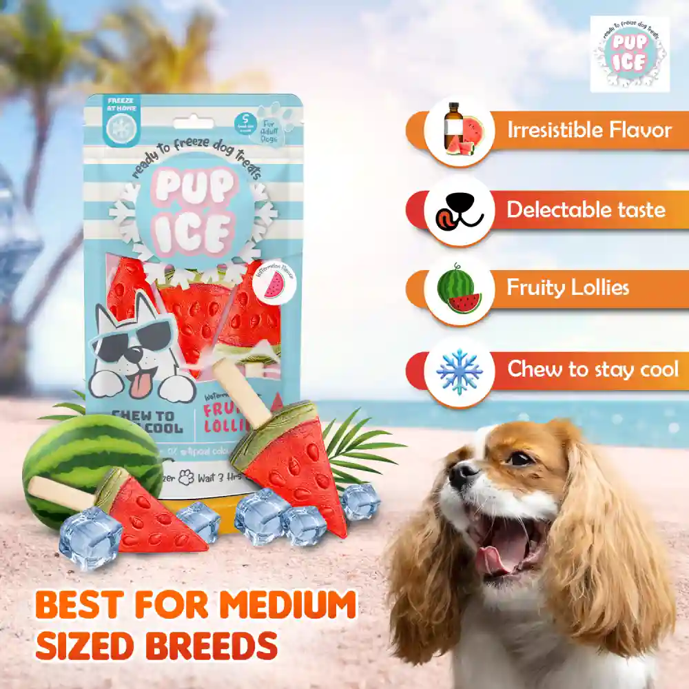 Pup Ice Watermelon Flavoured Fruity Lollies Dog Treat - Image 2