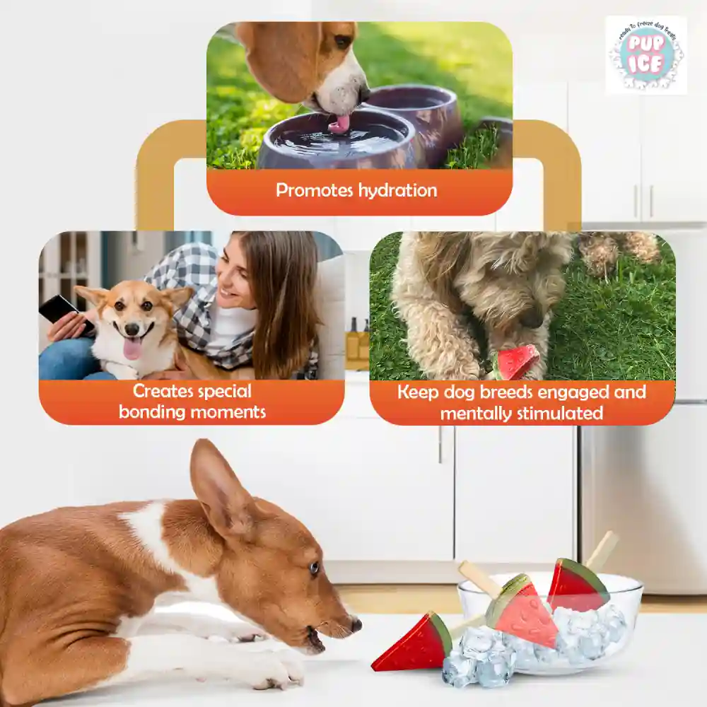 Pup Ice Watermelon Flavoured Fruity Lollies Dog Treat - Image 3