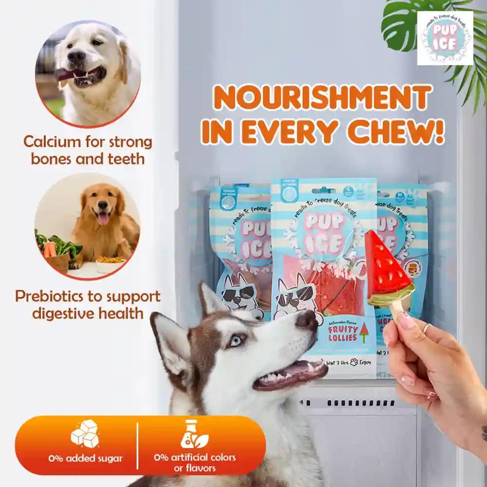 Pup Ice Watermelon Flavoured Fruity Lollies Dog Treat - Image 4
