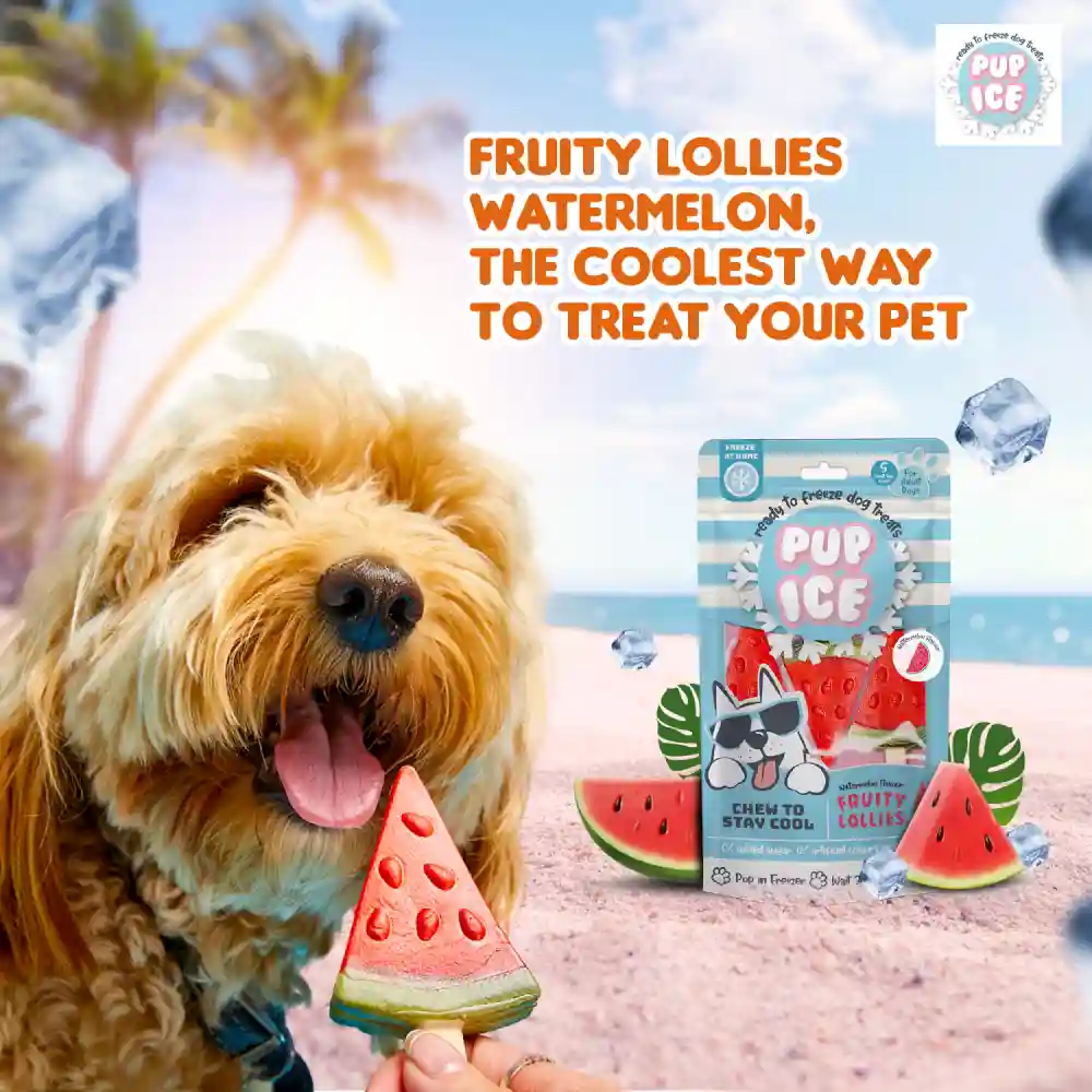 Pup Ice Watermelon Flavoured Fruity Lollies Dog Treat - Image 5