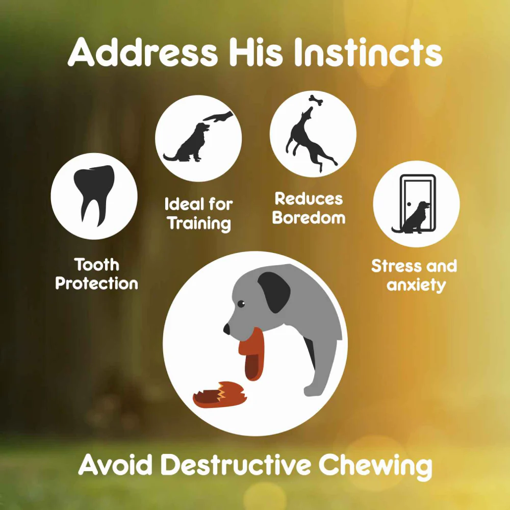 Purepet Chew Bone Dog Treats - Image 4