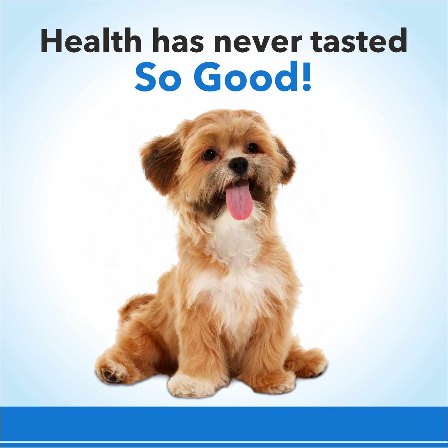 Purepet Chicken Flavor Munchy Sticks Dog Treats - Image 5