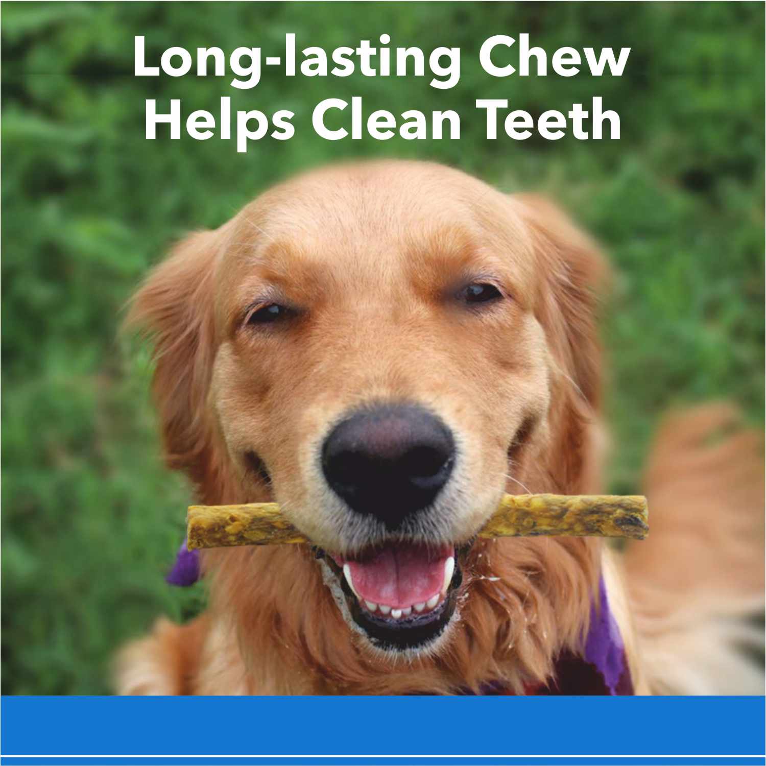Purepet Chicken Flavor Munchy Sticks Dog Treats - Image 6