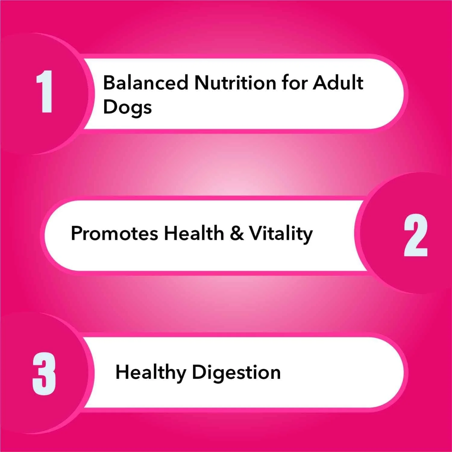 Purepet Chicken & Milk Adult Dry Dog Food - Image 4