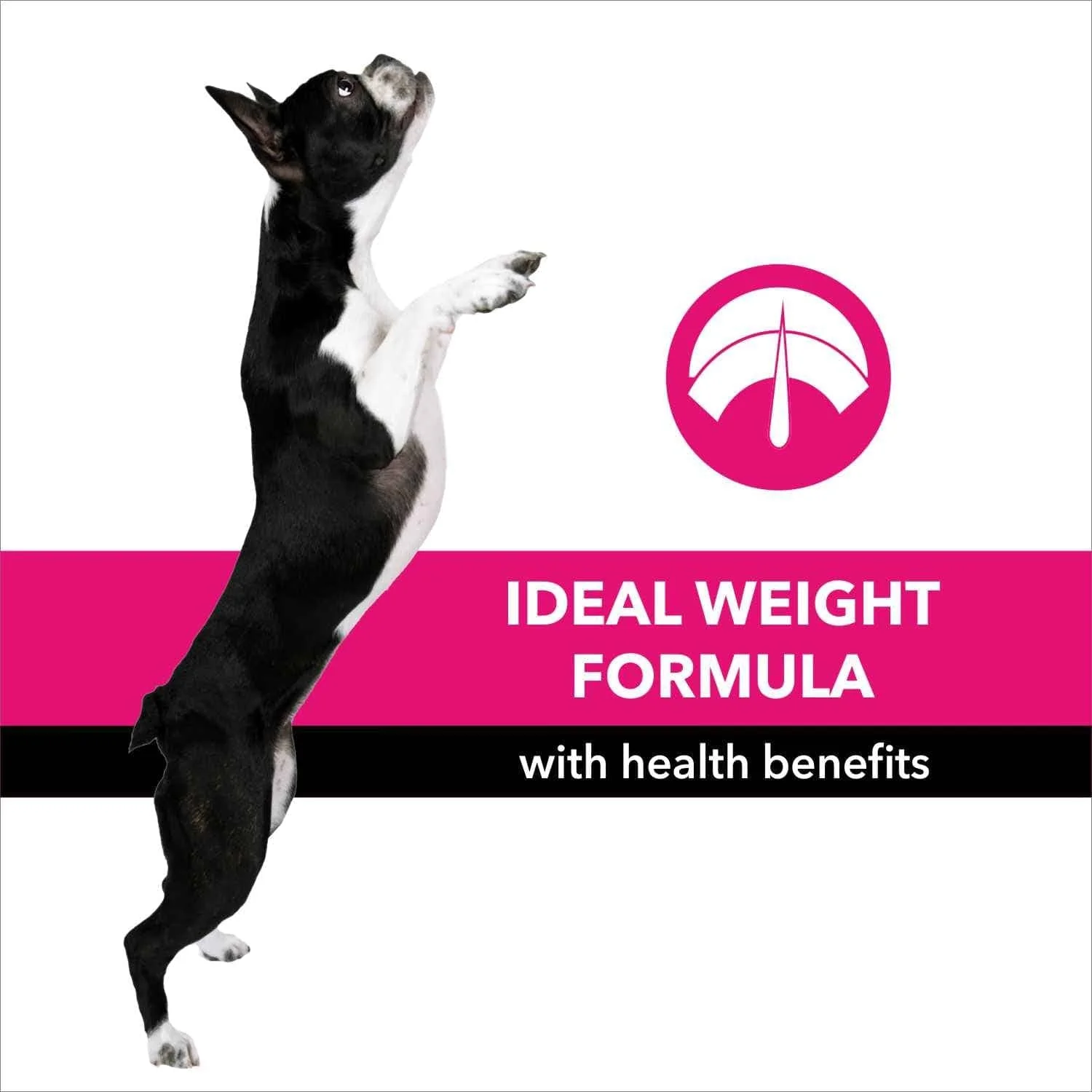 Purepet Chicken & Milk Adult Dry Dog Food - Image 6