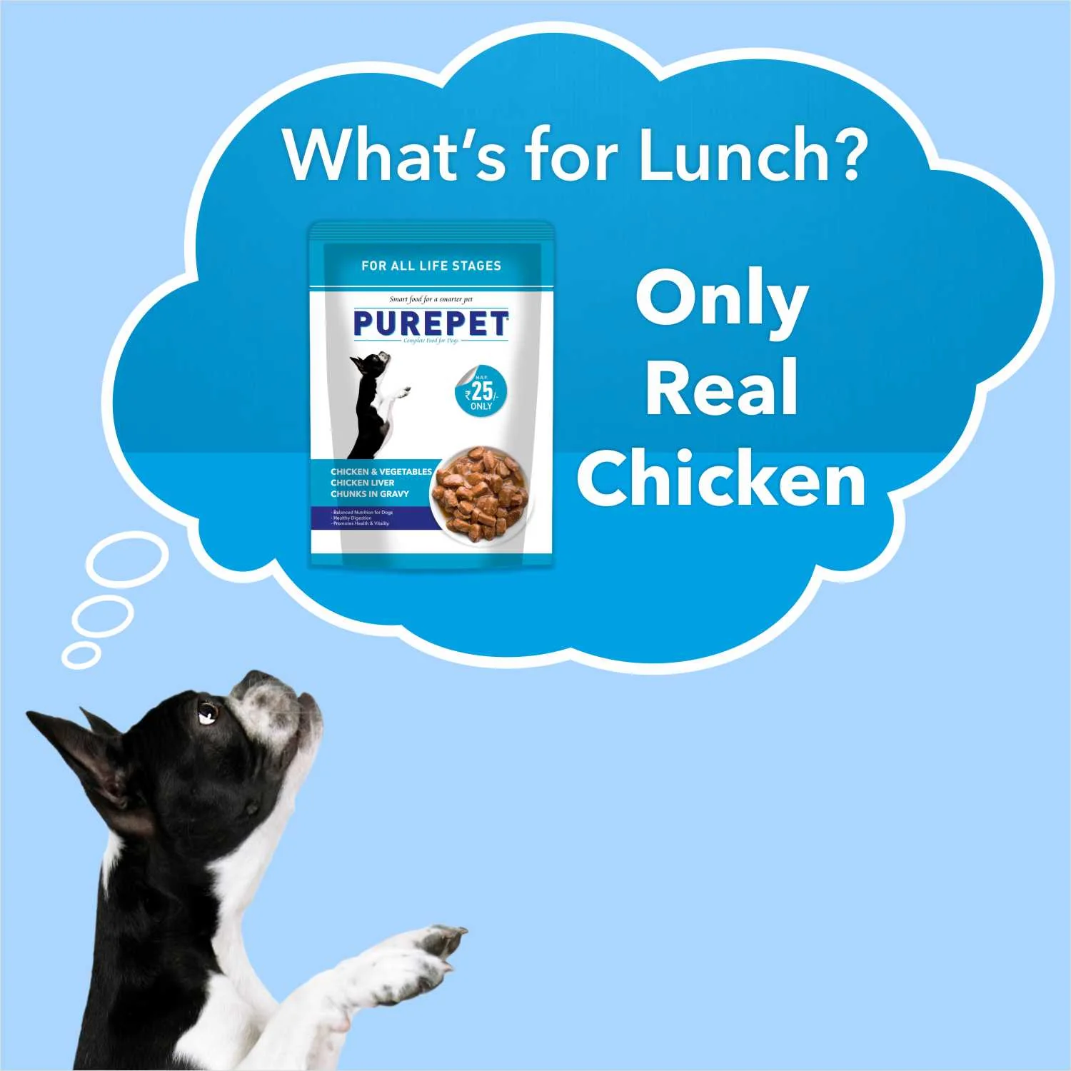 Purepet Chicken & Vegetable Adult Dog Dry and Wet Food Combo - Image 12