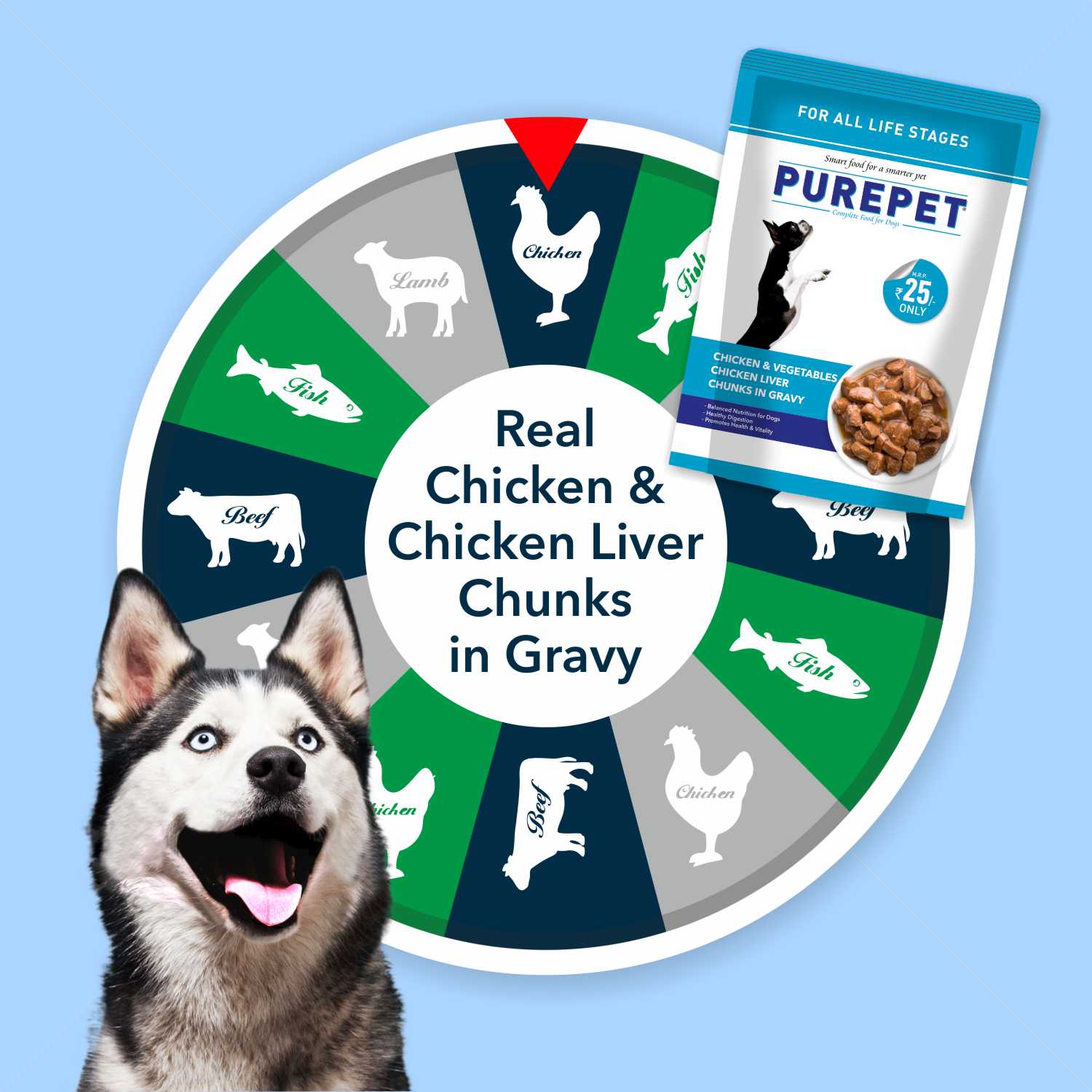 Purepet Chicken & Vegetable Adult Dog Dry and Wet Food Combo - Image 9