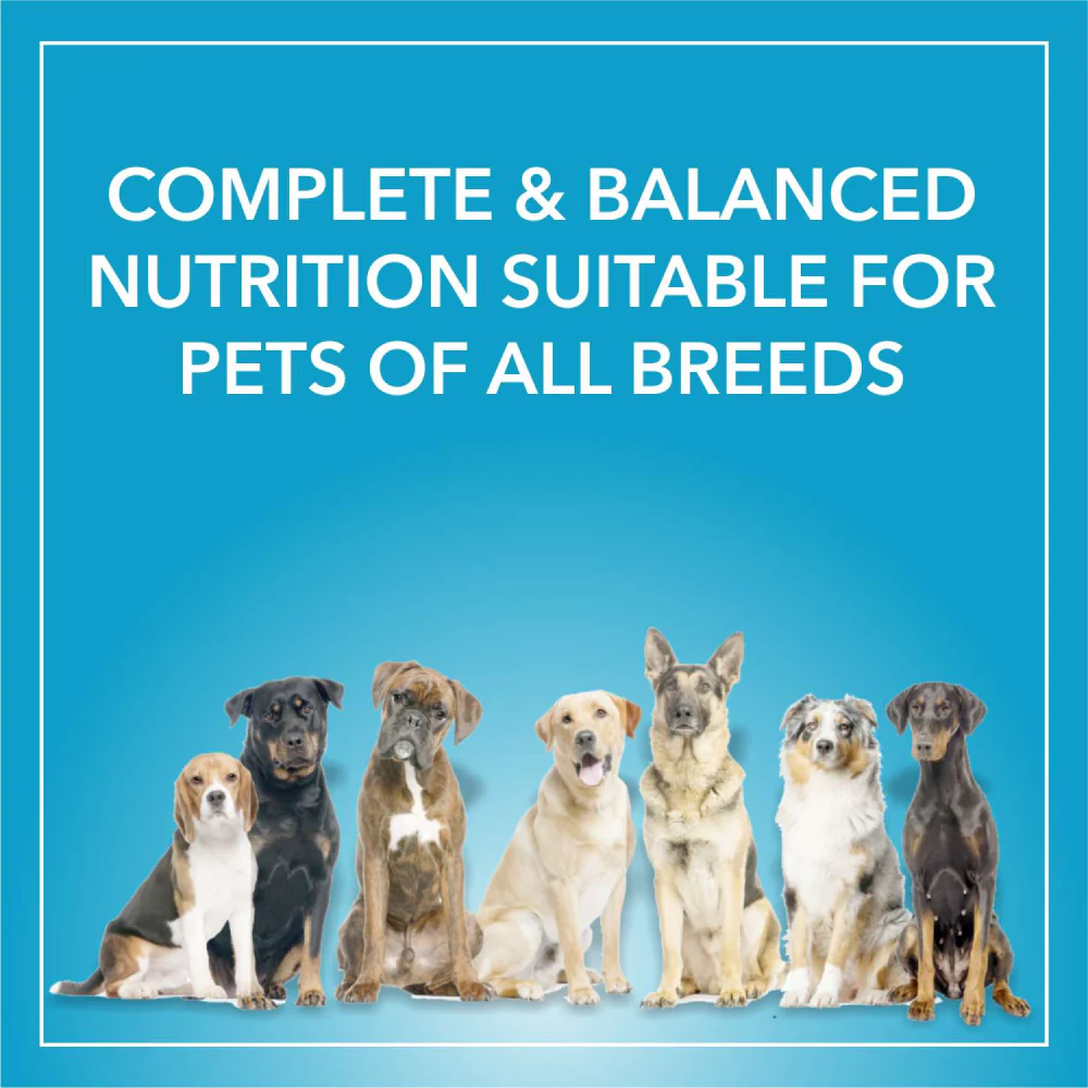 Purepet Chicken & Vegetable Adult Dog Dry Food - Image 5