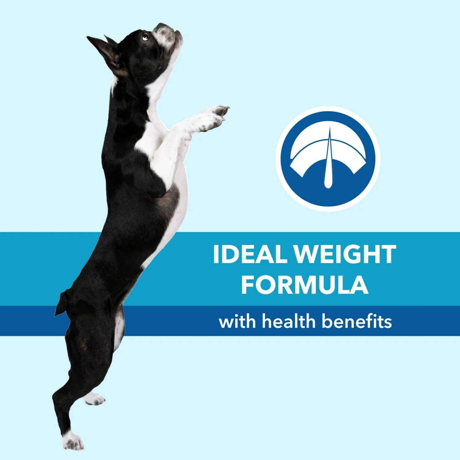 Purepet Chicken & Vegetable Adult Dog Dry Food - Image 6