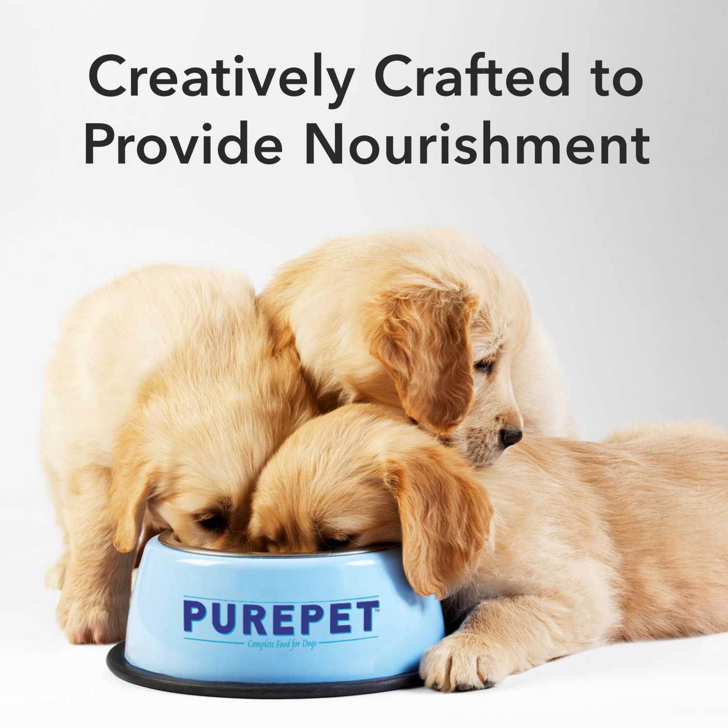 Purepet Chicken & Vegetable Chunks in Gravy Adult Dog Wet Food - Image 4