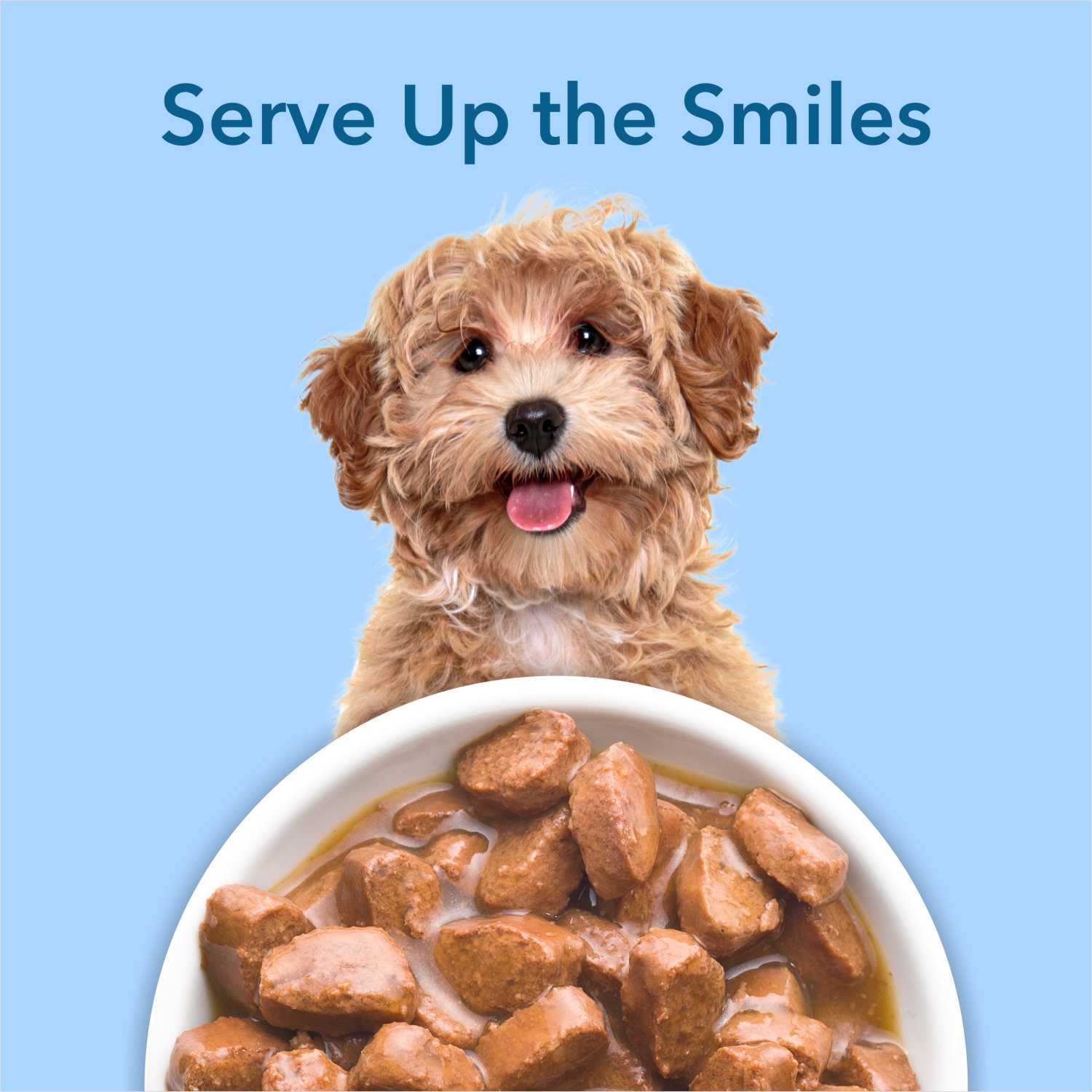 Purepet Chicken & Vegetable Chunks in Gravy Adult Dog Wet Food - Image 6