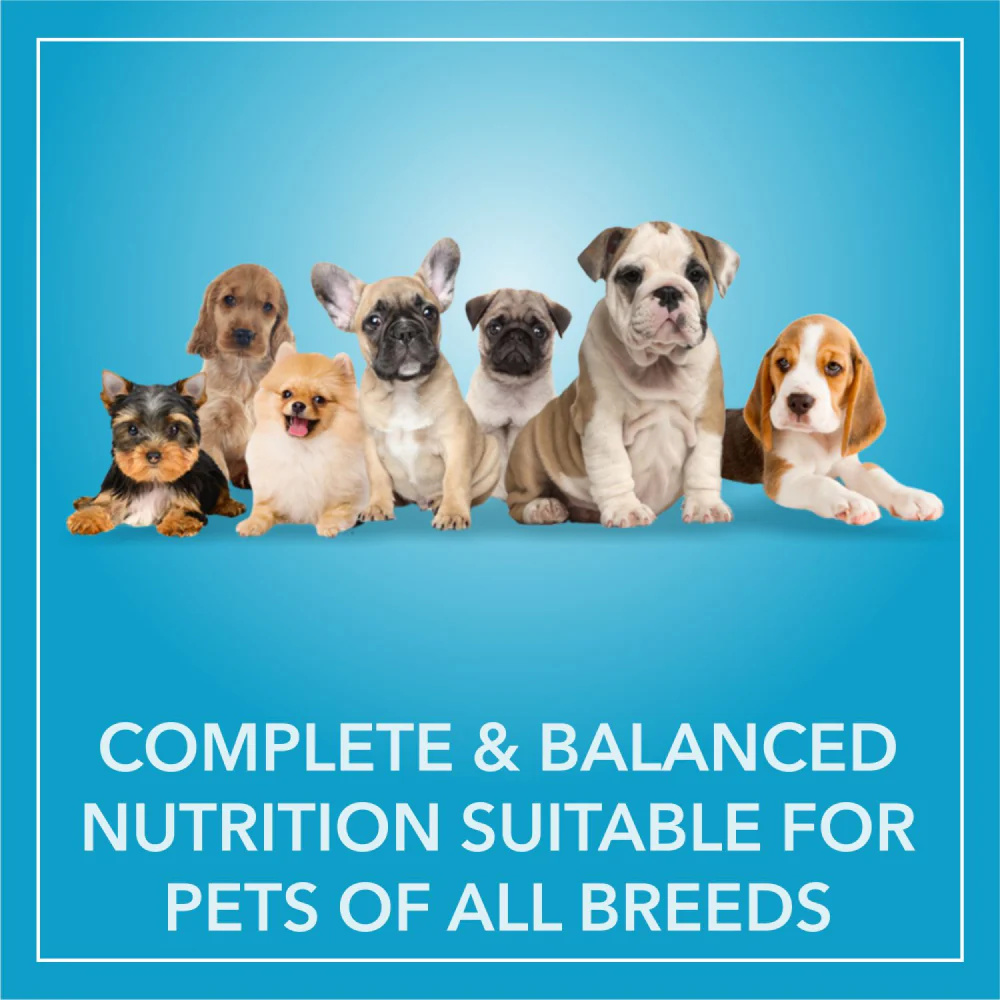 Purepet Chicken & Vegetable Puppy Dog Dry Food - Image 5