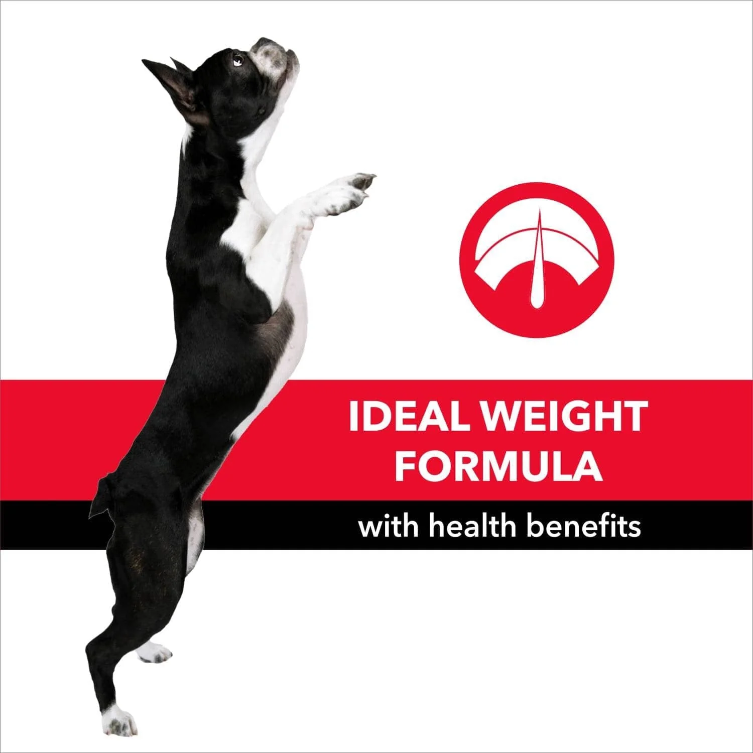 Purepet Meat and Rice Adult Dog Dry Food - Image 4