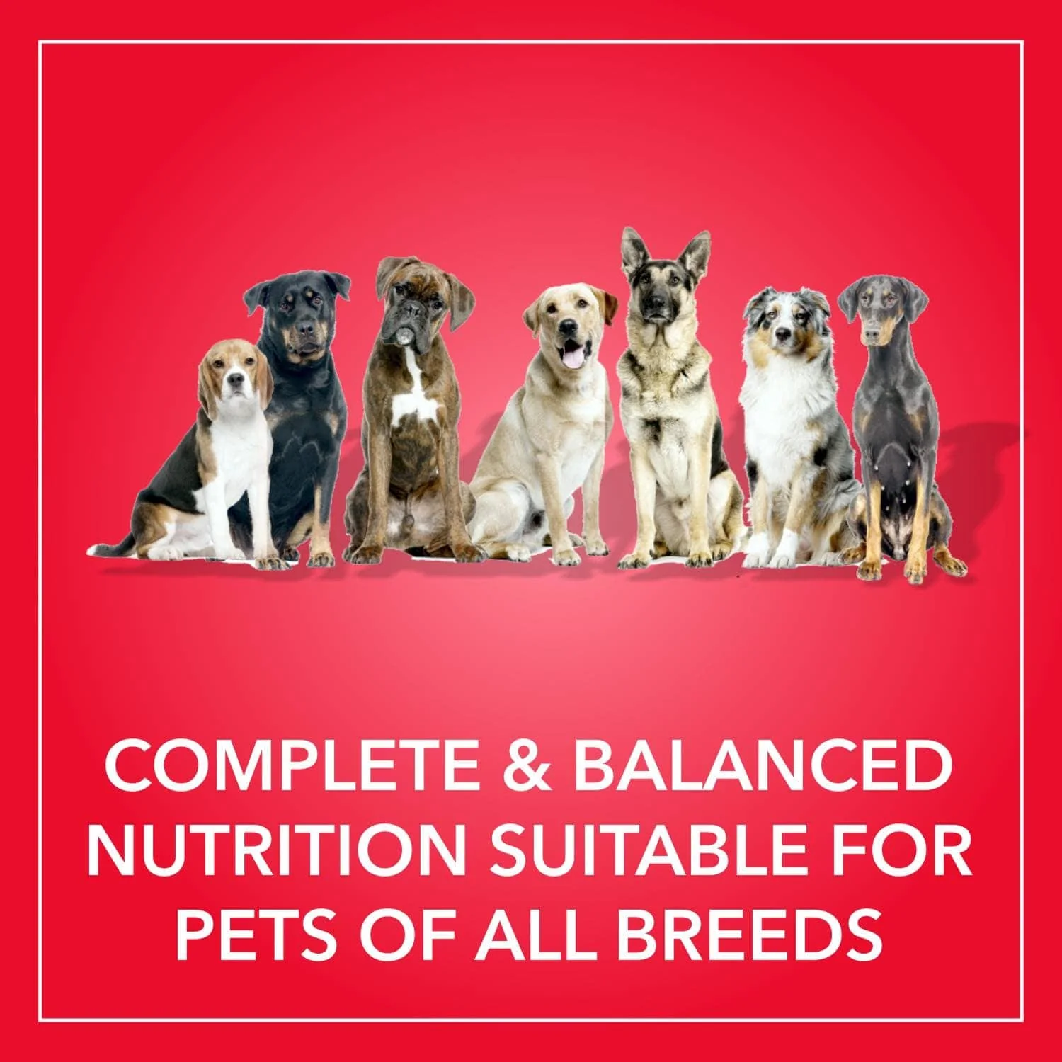 Purepet Meat and Rice Adult Dog Dry Food - Image 5