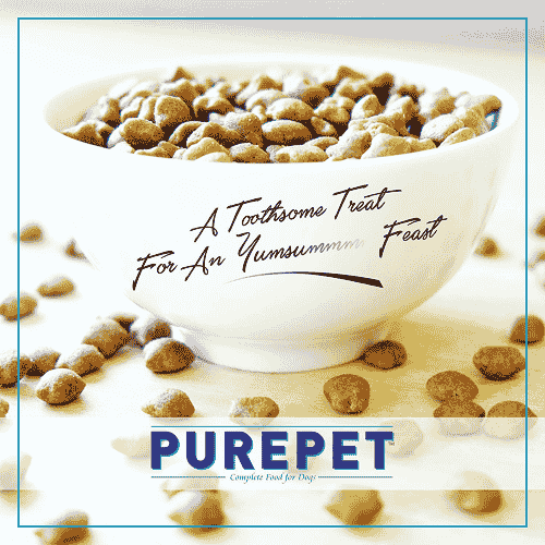 Purepet Ocean Fish Adult Cat Dry Food - Image 6