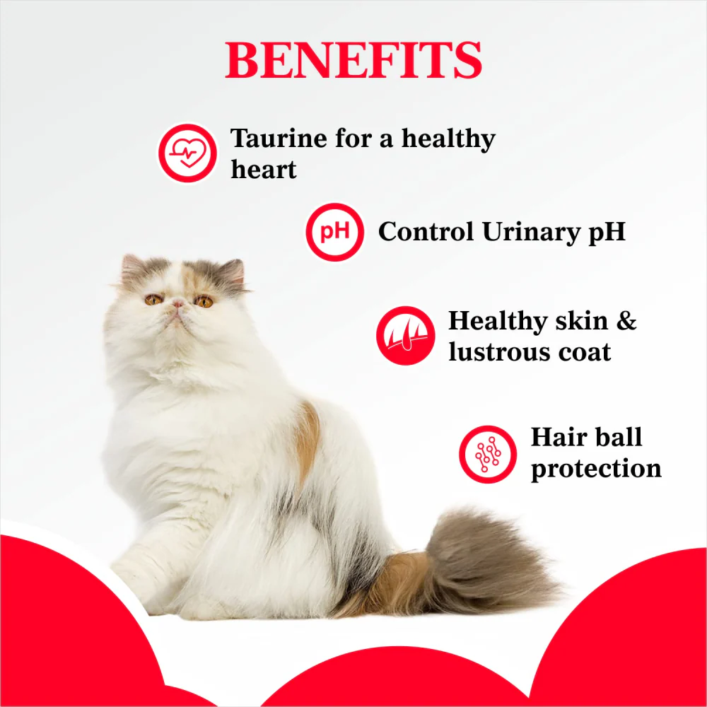 Purepet Ocean Fish Persian Adult Cat Dry Food - Image 5