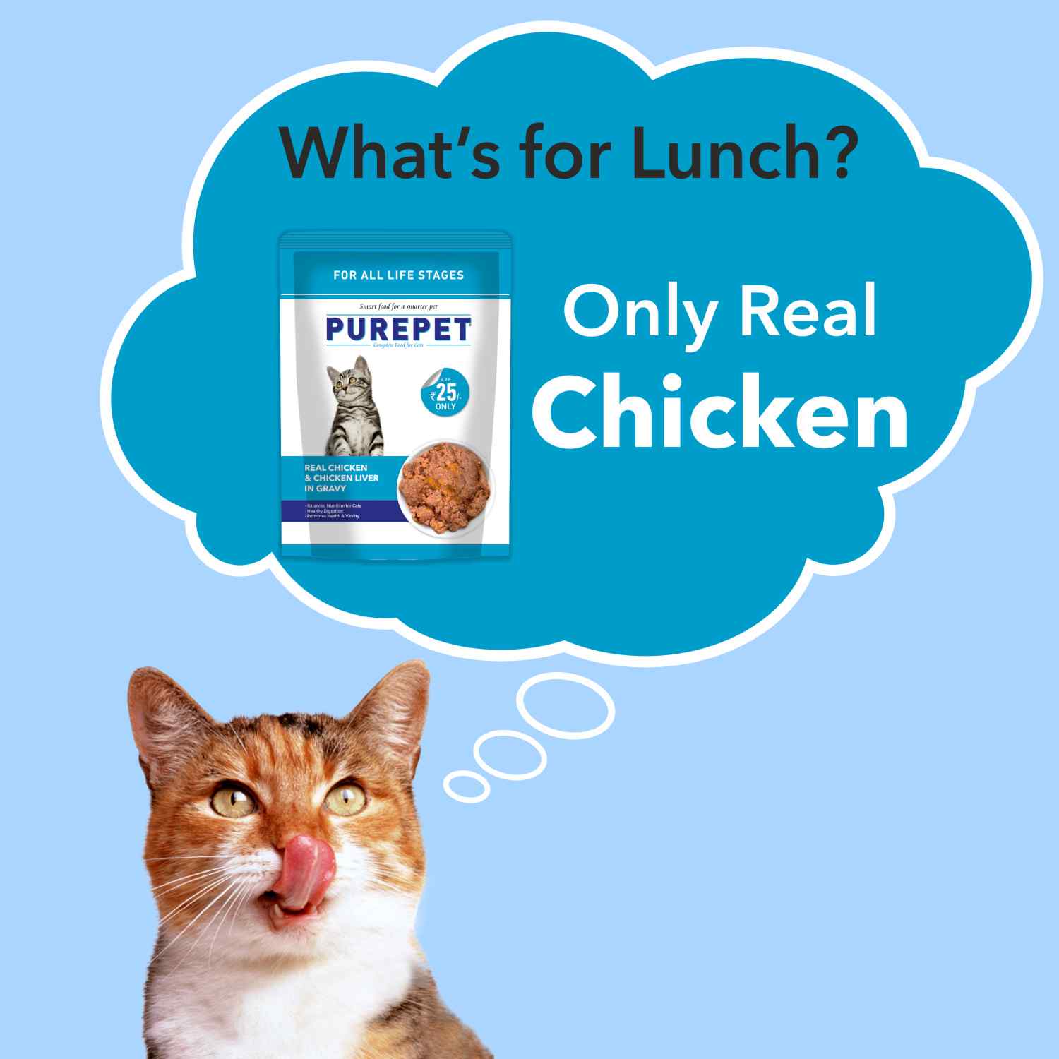 Purepet Real Chicken & Chicken Liver in Gravy Cat Wet Food - Image 3