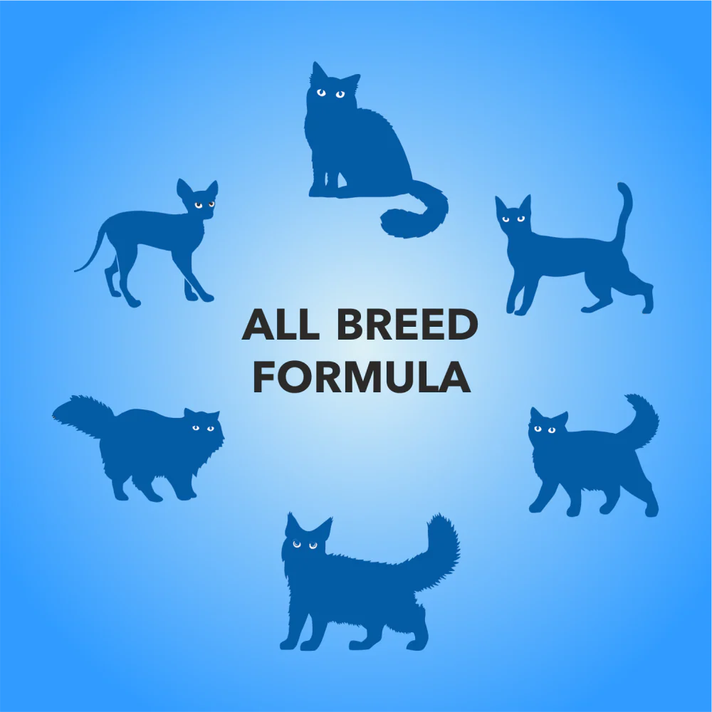 Purepet Real Chicken & Chicken Liver in Gravy Cat Wet Food - Image 7