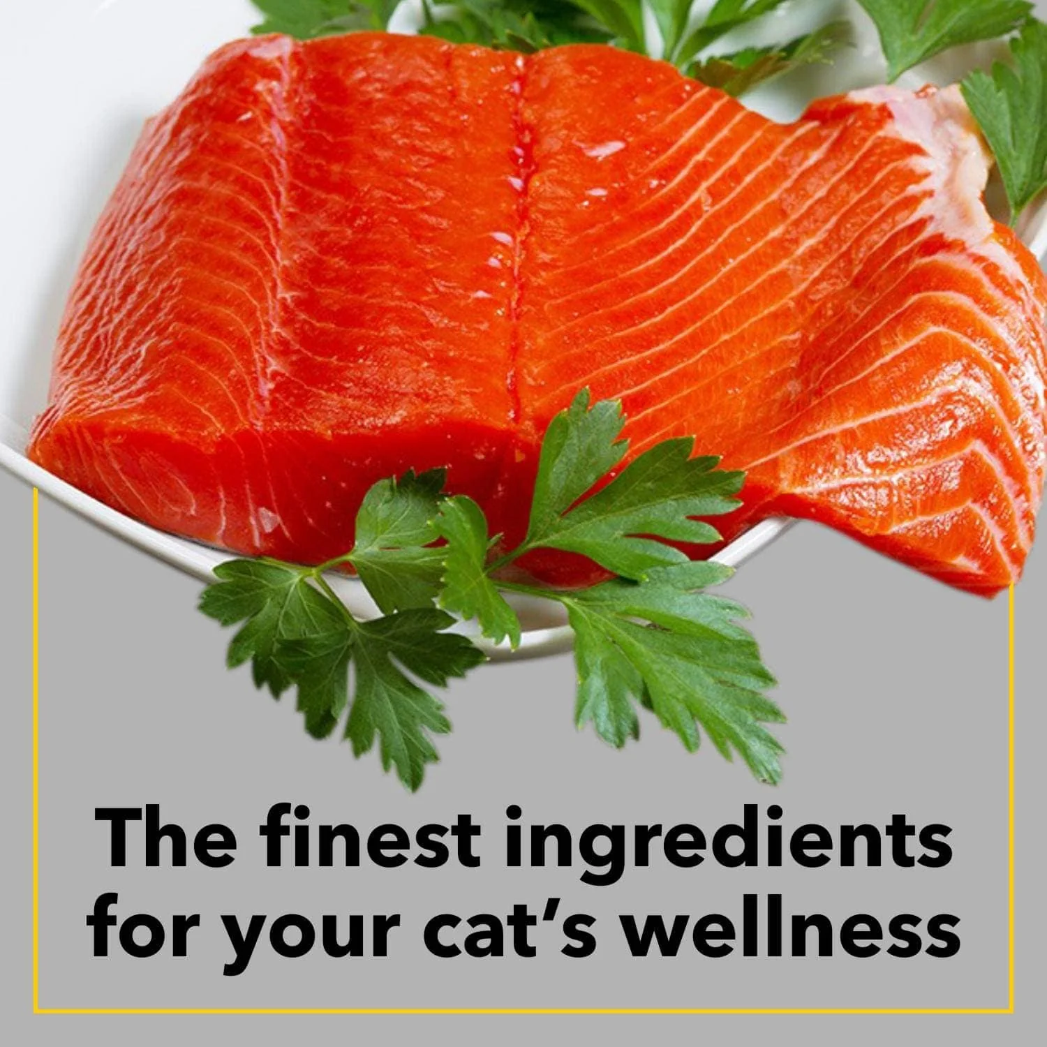 Purepet Seafood Adult Cat Dry Food - Image 5