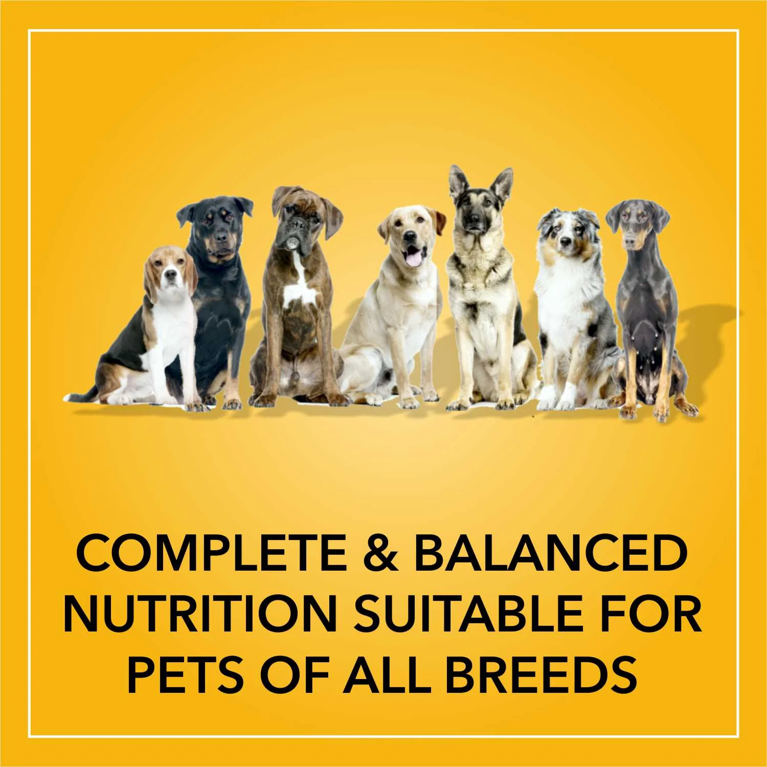 Purepet Smoked Chicken Adult Dry Dog Food - Image 4