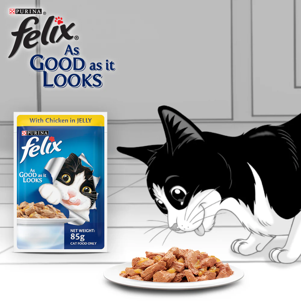 Friskies Surfin Cat Dry Food and Purina Felix Chicken with Jelly Adult Cat Wet Food Combo - Image 17