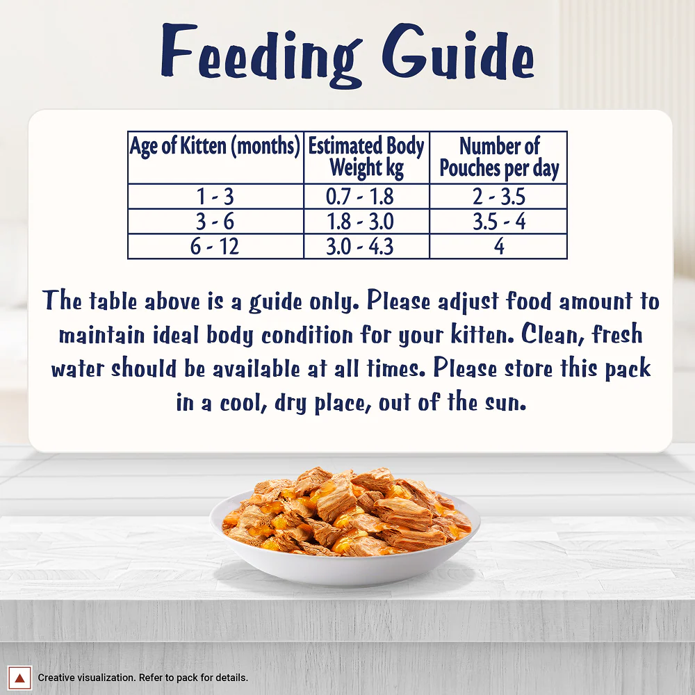 Purina Felix with Chicken in Jelly Complete and Balanced Kitten Cat Wet Food - Image 13