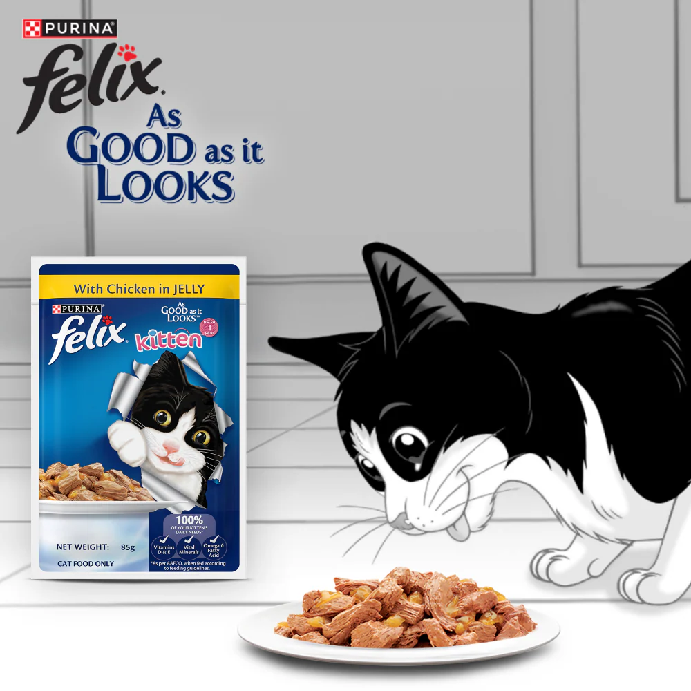 Purina Felix with Chicken in Jelly Complete and Balanced Kitten Cat Wet Food - Image 4