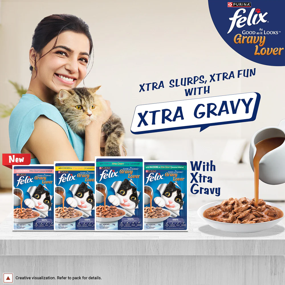 Purina Felix Gravy Lover Salmon Chunks Adult Complete and Balanced Cat Wet Food - Image 11