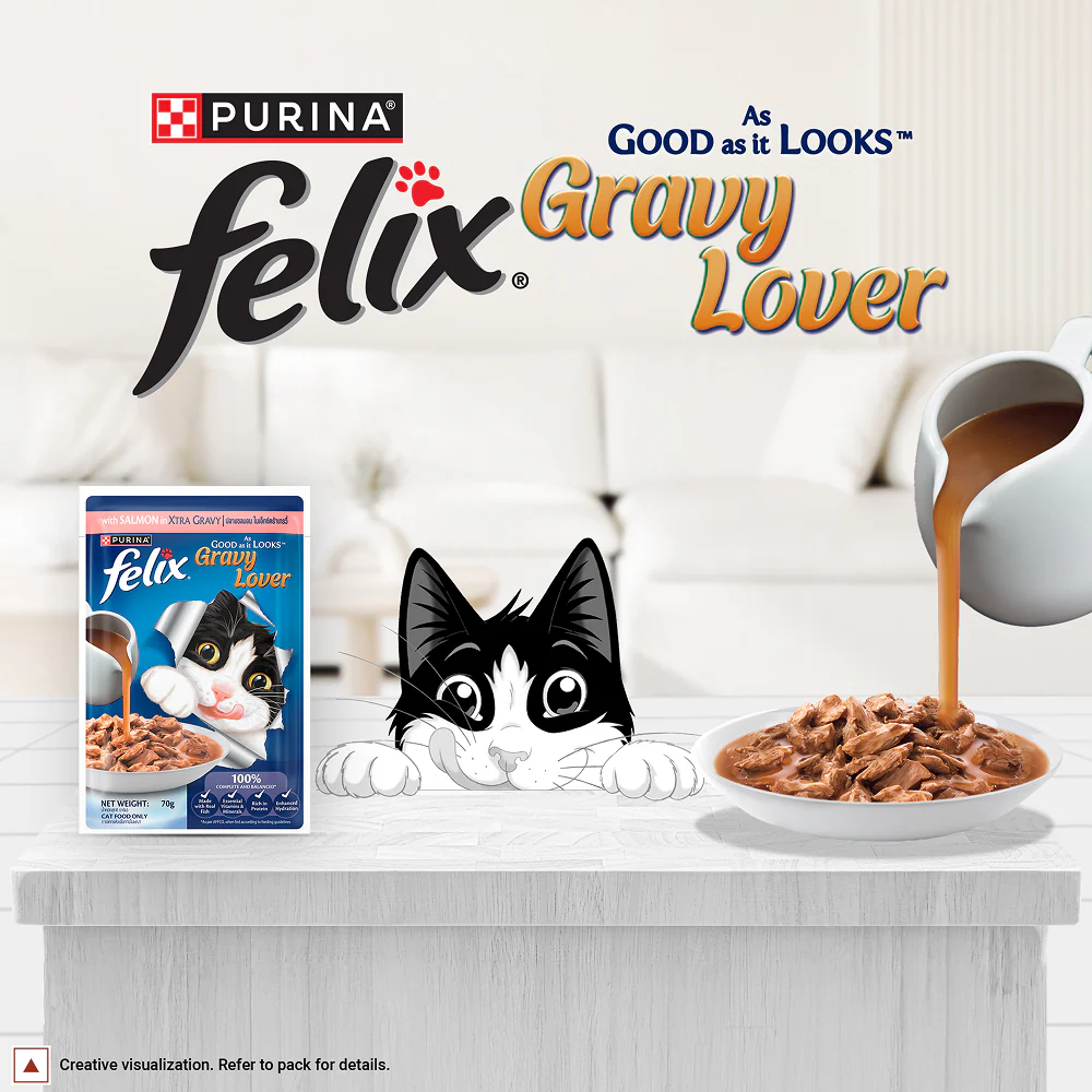 Purina Felix Gravy Lover Salmon Chunks Adult Complete and Balanced Cat Wet Food - Image 16