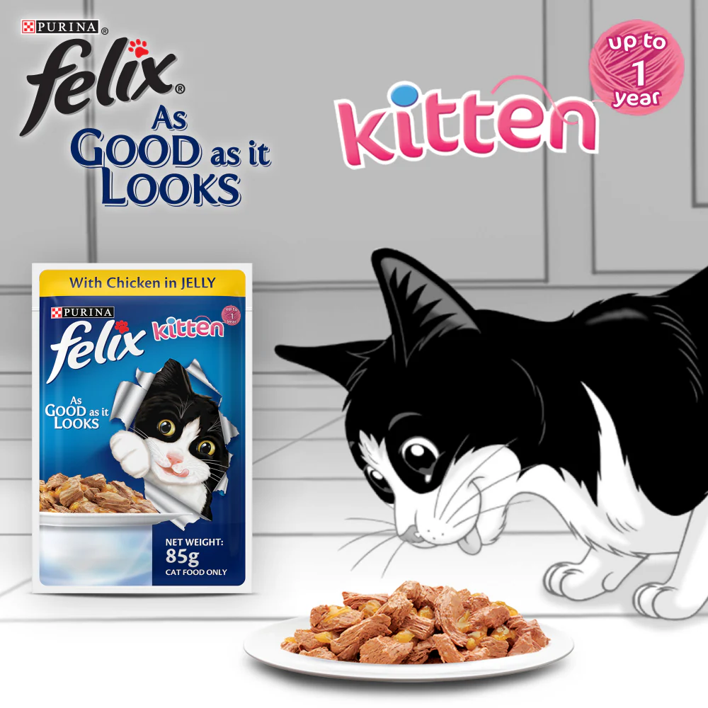 Purina Felix with Mackerel in Jelly Adult and Chicken in Jelly Kitten Cat Wet Food Combo - Image 10