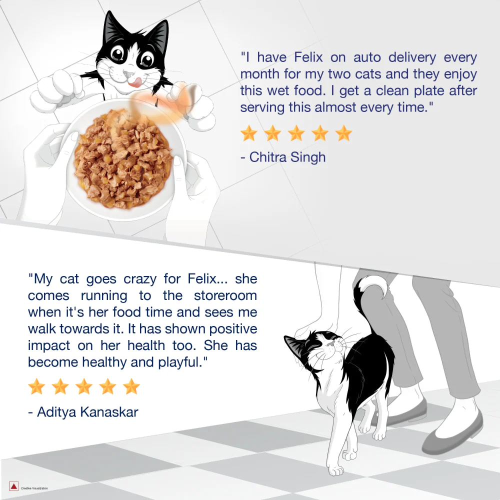 Purina Felix with Mackerel in Jelly and Sardine with Jelly Adult Cat Wet Food Combo - Image 10