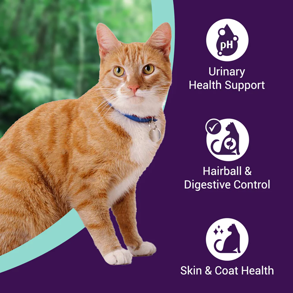 Purrfeto Chicken and Ocean Fish Cat Dry Food - Image 2