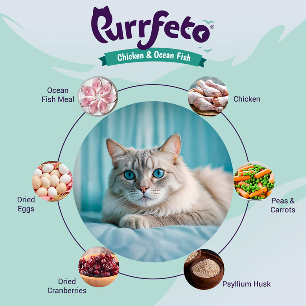 Purrfeto Chicken and Ocean Fish Cat Dry Food - Image 6