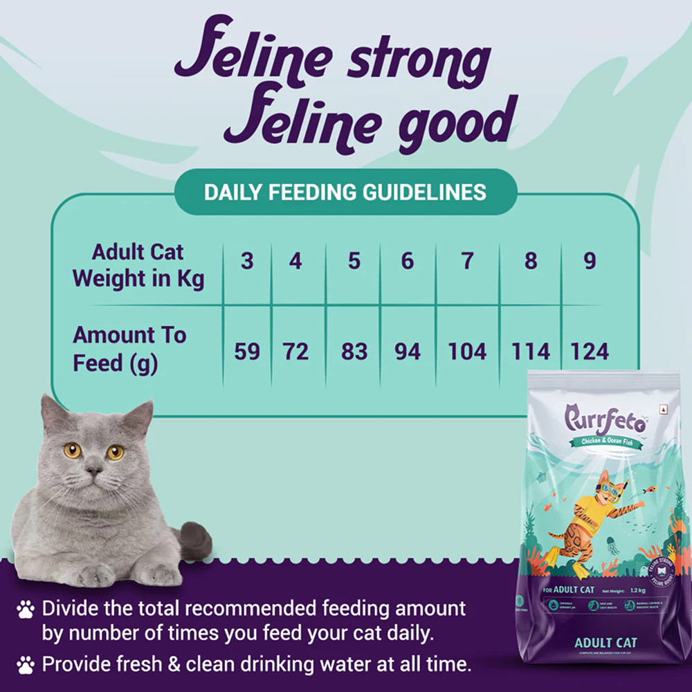 Purrfeto Chicken and Ocean Fish Cat Dry Food - Image 7