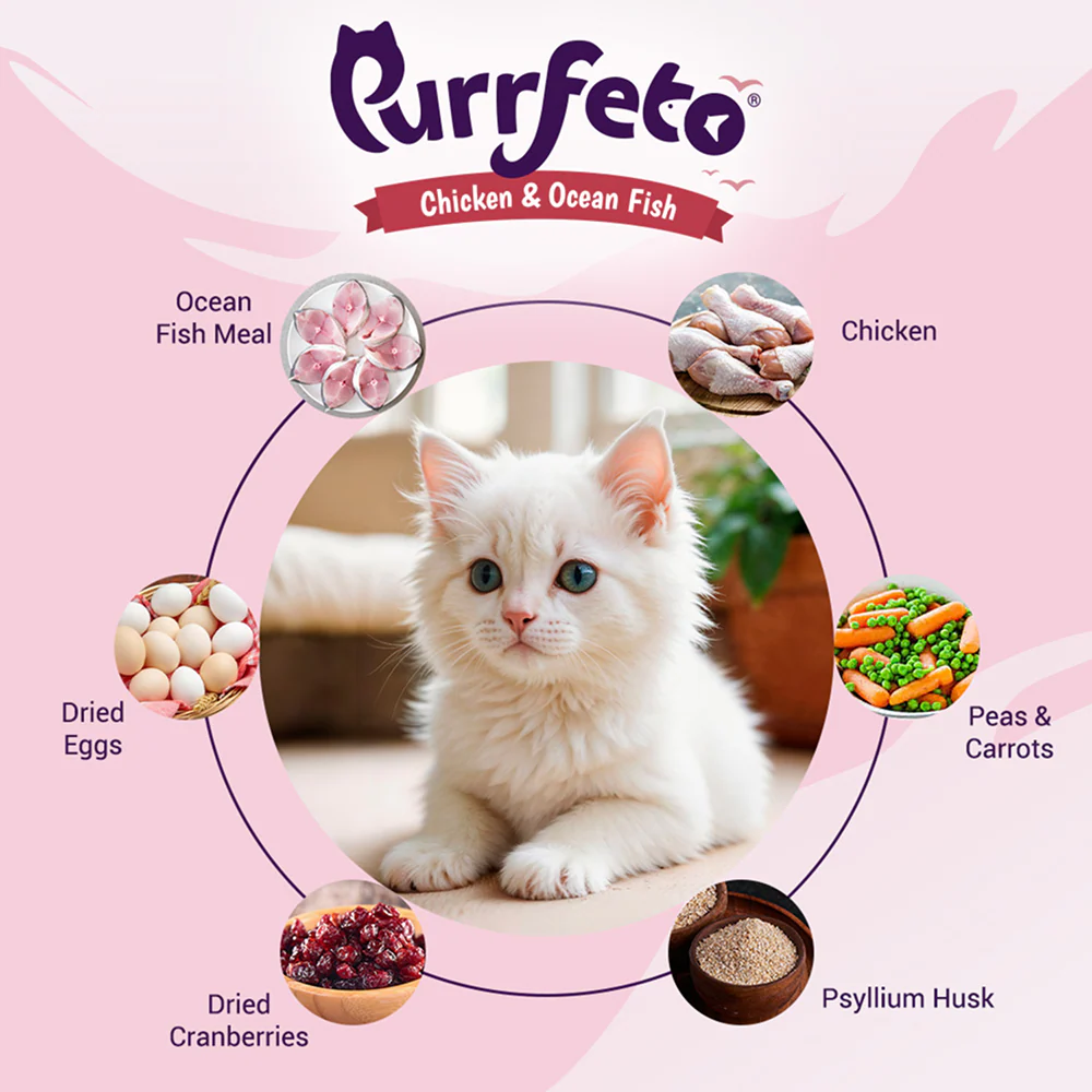 Purrfeto Chicken and Ocean Fish Kitten Cat Dry Food - Image 3