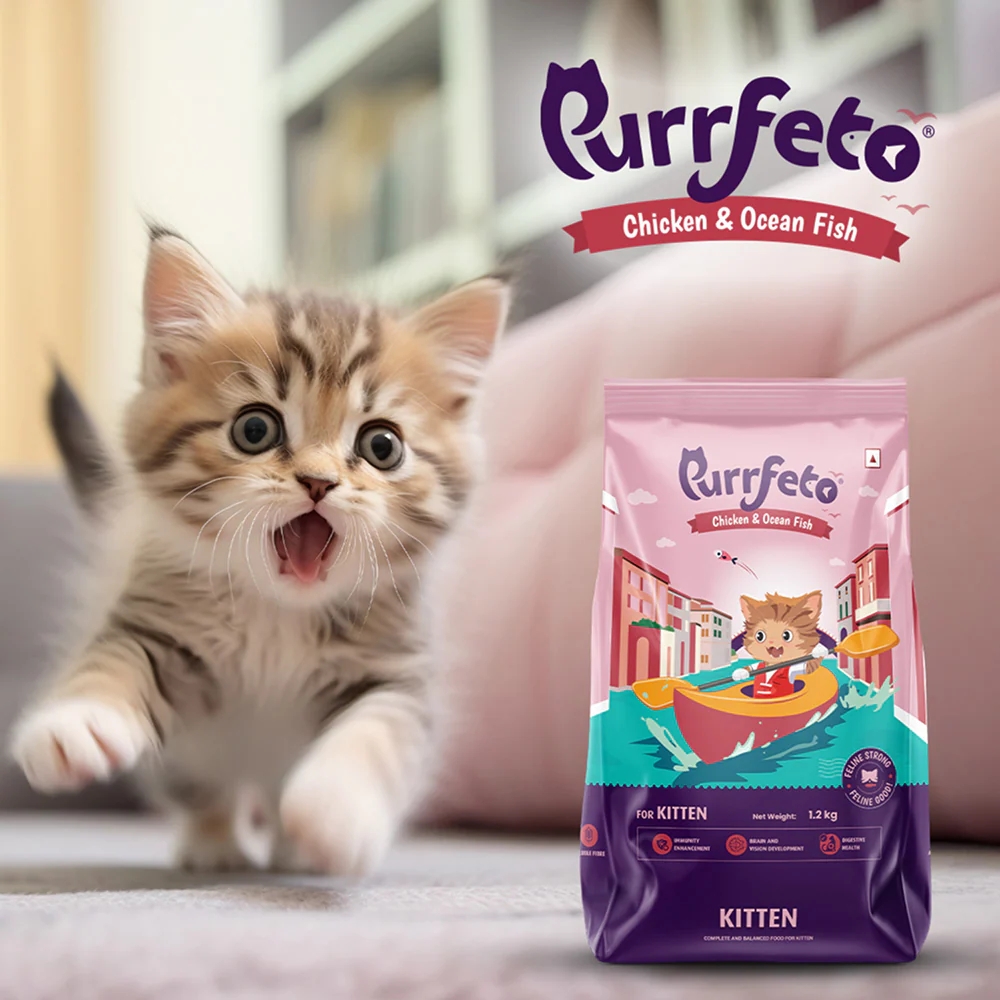 Purrfeto Chicken and Ocean Fish Kitten Cat Dry Food - Image 6