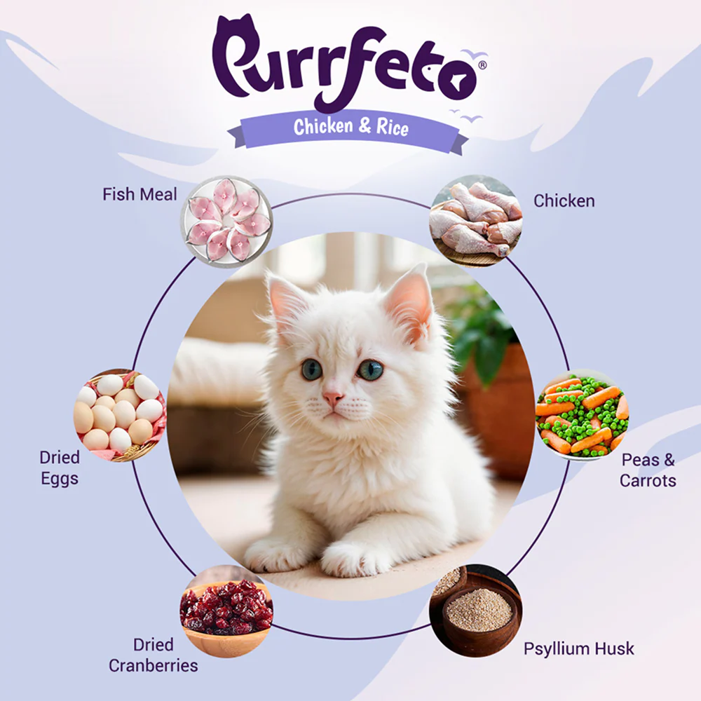Purrfeto Chicken and Rice Kitten Cat Dry Food - Image 2