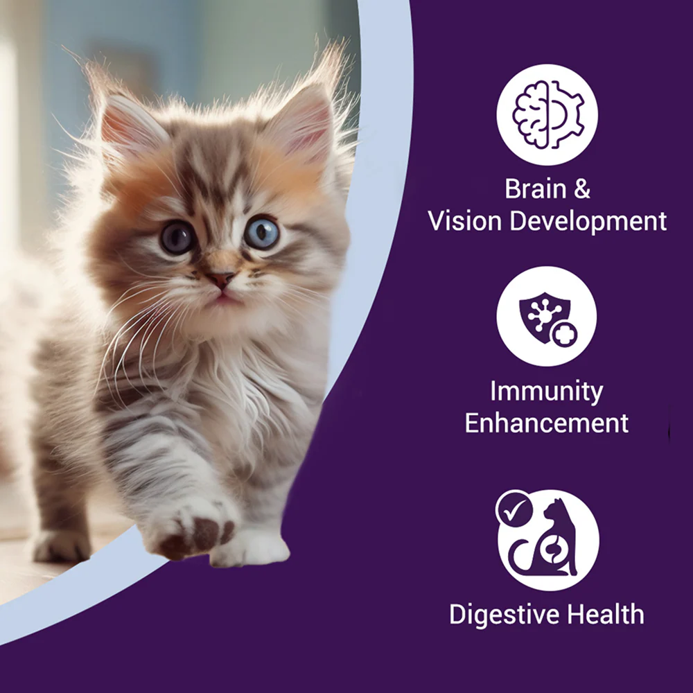 Purrfeto Chicken and Rice Kitten Cat Dry Food - Image 3
