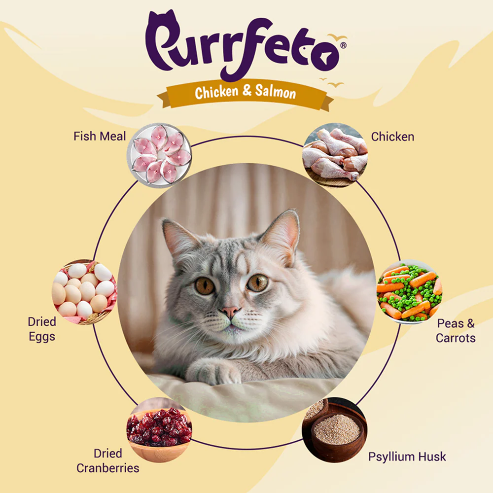Purrfeto Chicken and Salmon Adult Cat Dry Food - Image 3