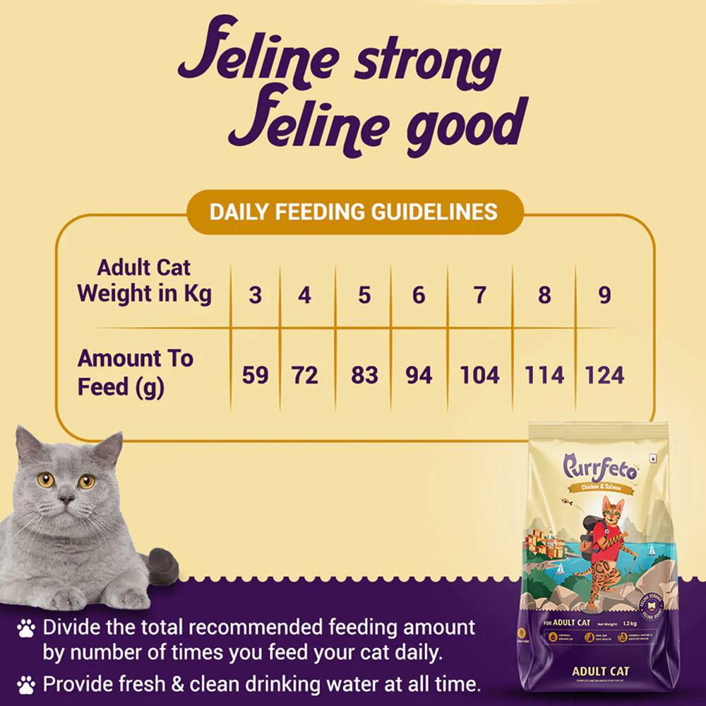 Purrfeto Chicken and Salmon Adult Cat Dry Food - Image 4