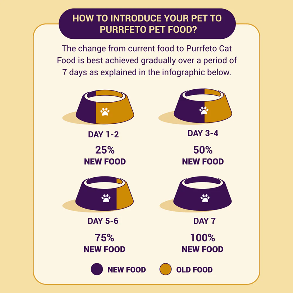 Purrfeto Chicken and Salmon Adult Cat Dry Food - Image 6