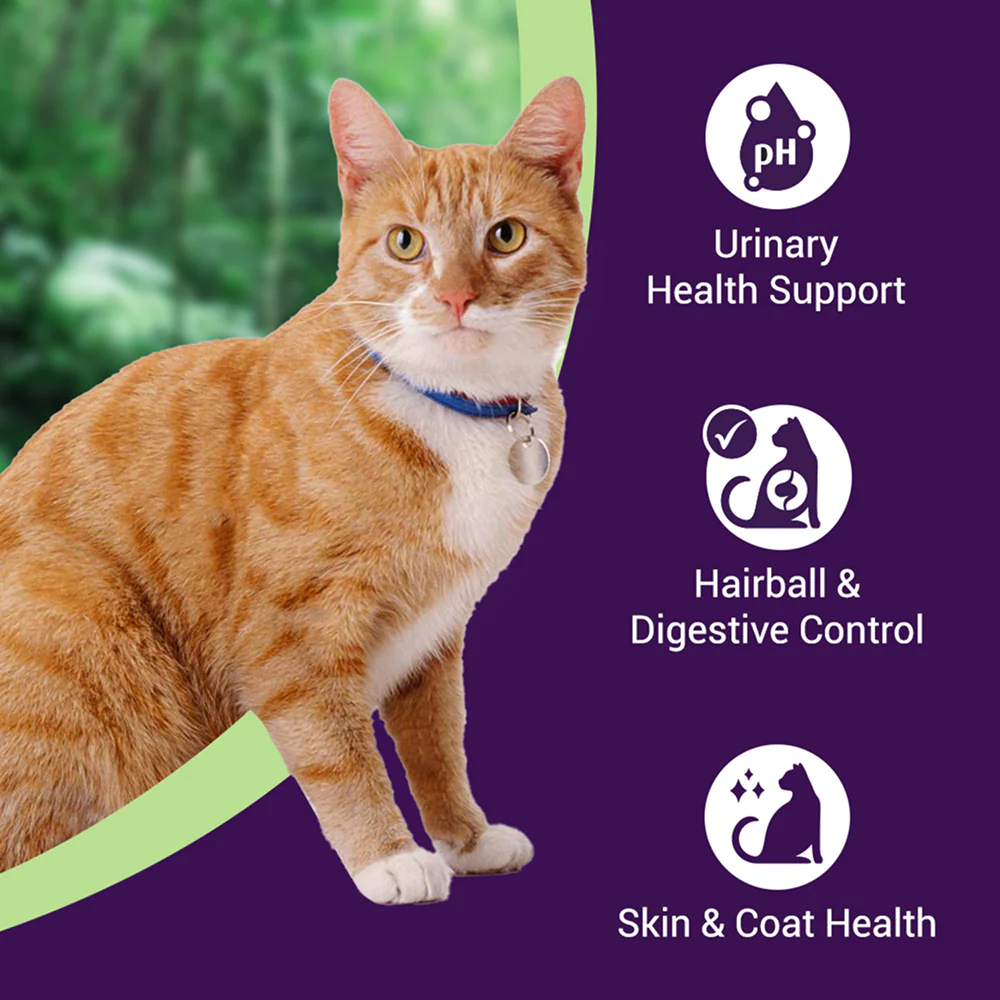 Purrfeto Chicken and Sardine Adult Cat Dry Food - Image 2