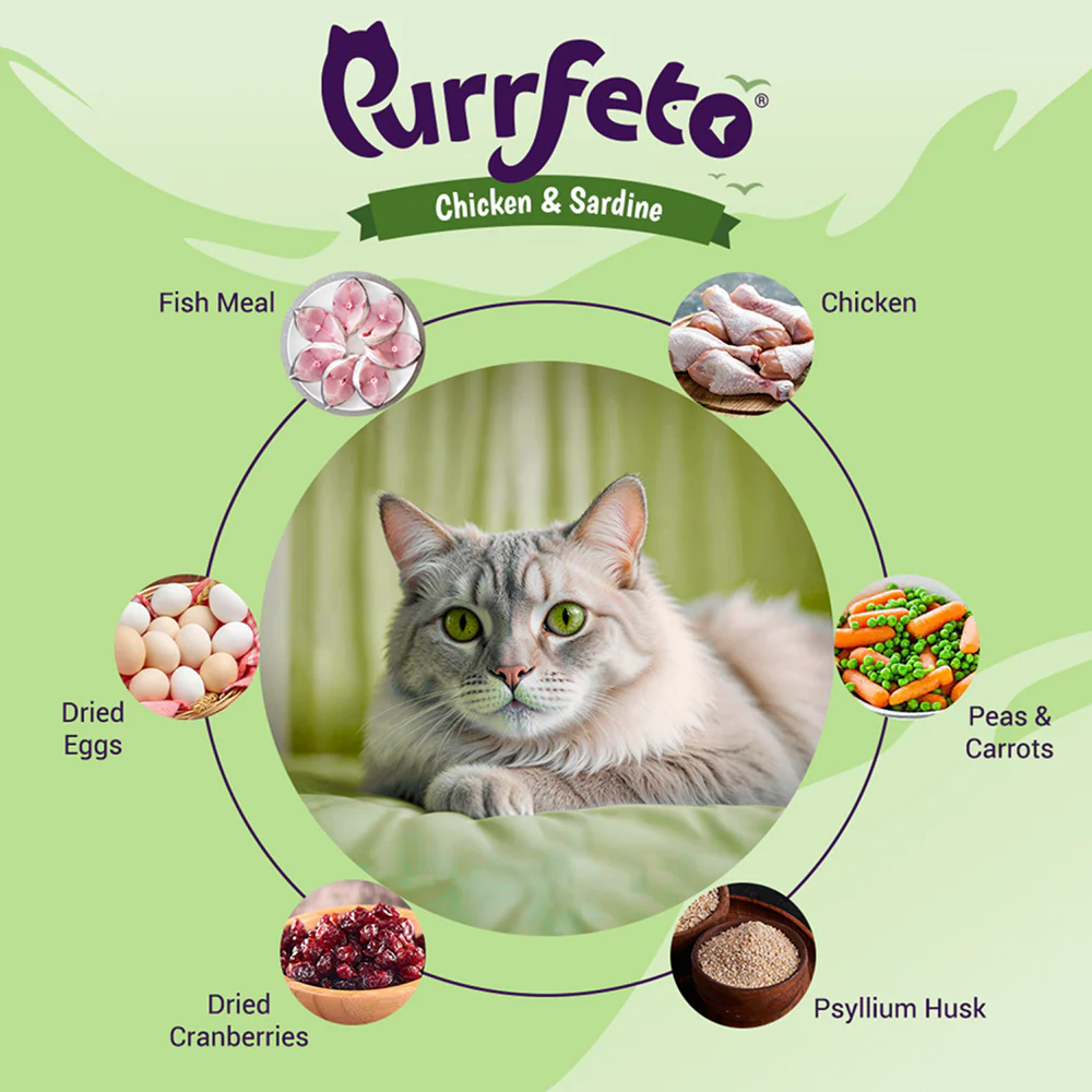 Purrfeto Chicken and Sardine Adult Cat Dry Food - Image 3