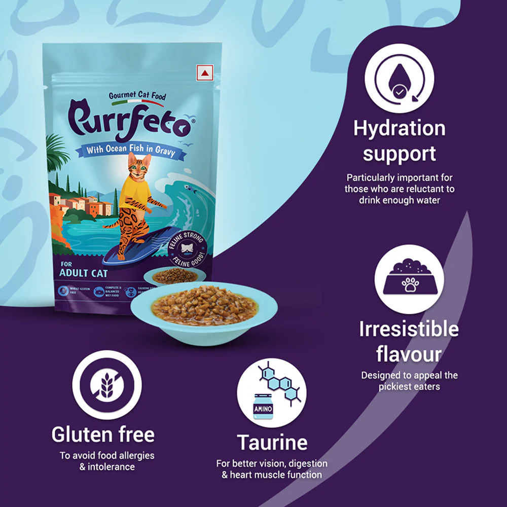 Purrfeto Ocean Fish in Gravy Adult Cat Wet Food - Image 3