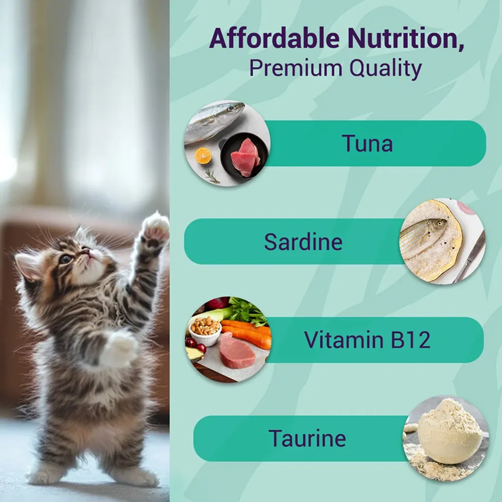 Purrfeto Oceanfish Recipe in Jelly Kitten Cat Wet Food - Image 2