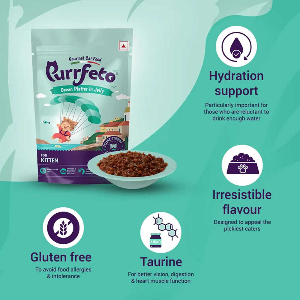 Purrfeto Oceanfish Recipe in Jelly Kitten Cat Wet Food - Image 3